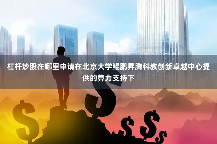杠杆炒股在哪里申请在北京大学鲲鹏昇腾科教创新卓越中心提供的算力支持下