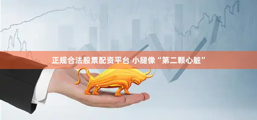 正规合法股票配资平台 小腿像“第二颗心脏”
